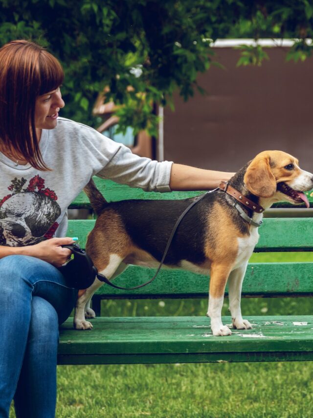 Alert!  Emerging Threat to Human Brucella canis, the Dogs disease